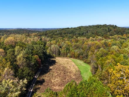 33.35 Acres in Martin County IN