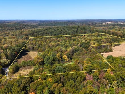 33.35 Acres in Martin County IN
