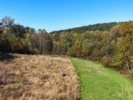 33.35 Acres in Martin County IN