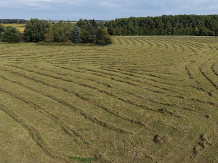 Jay County Land Auction