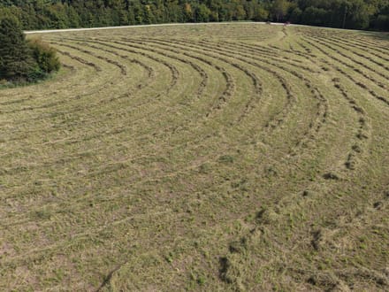 Jay County Land Auction