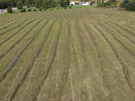 Jay County Land Auction