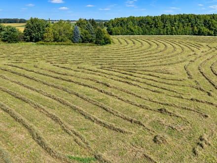 Jay County Land Auction