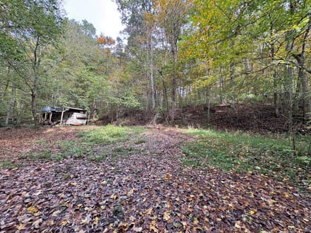 Little Blue River Camp
