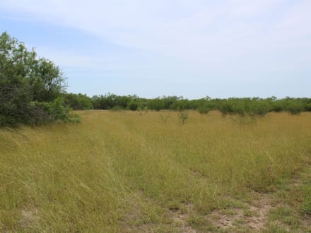A Little More Land. A Whole New Outlook. Acreage near Charco!