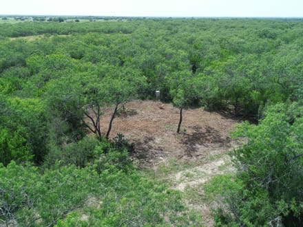 A Little More Land. A Whole New Outlook. Acreage near Charco!