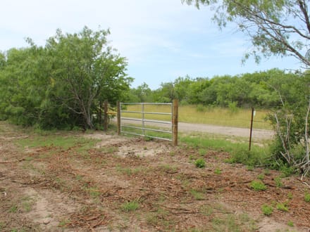 A Little More Land. A Whole New Outlook. Acreage near Charco!
