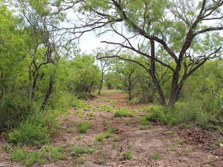 A Little More Land. A Whole New Outlook. Acreage near Charco!