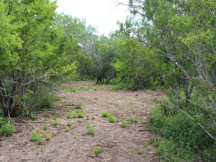 A Little More Land. A Whole New Outlook. Acreage near Charco!