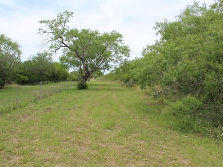 Make Your Country Living Plans a Reality near Charco!