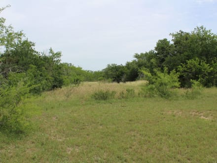 Make Your Country Living Plans a Reality near Charco!