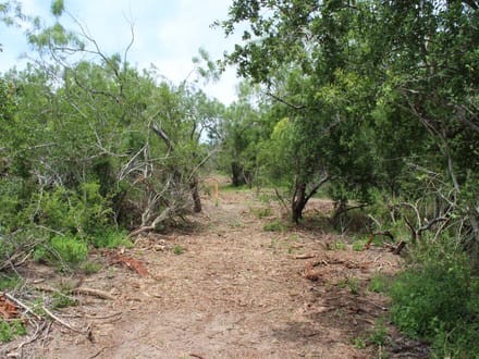 Make Your Country Living Plans a Reality near Charco!