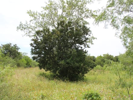 Make Your Country Living Plans a Reality near Charco!