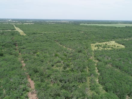 Texas Land, Your Vision, Come Discover Goliad County!
