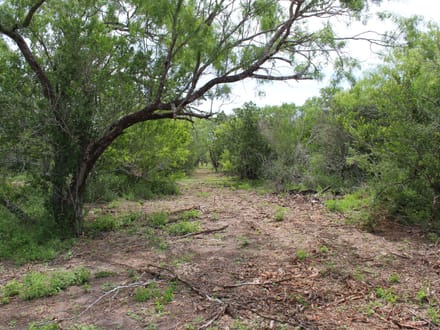 Texas Land, Your Vision, Come Discover Goliad County!