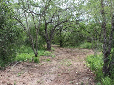 Texas Land, Your Vision, Come Discover Goliad County!