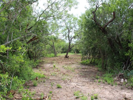 Texas Land, Your Vision, Come Discover Goliad County!