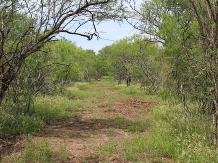 2 sides road frontage acreage near Charco!