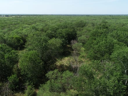 2 sides road frontage acreage near Charco!