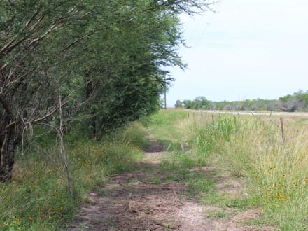 2 sides road frontage acreage near Charco!