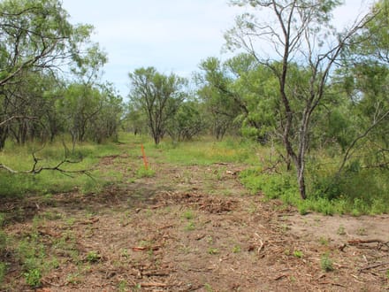 2 sides road frontage acreage near Charco!