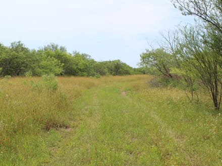 Make Your Country Living Plans a Reality near Charco!