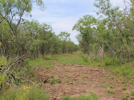 Make Your Country Living Plans a Reality near Charco!