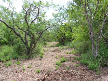 Make Your Country Living Plans a Reality near Charco!