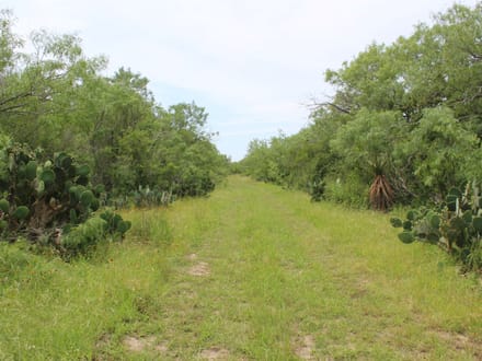 Make Your Country Living Plans a Reality near Charco!