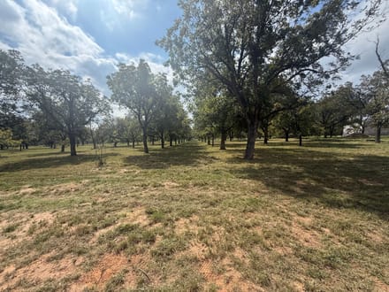 2449 Marvin Drive Granbury TX 76049