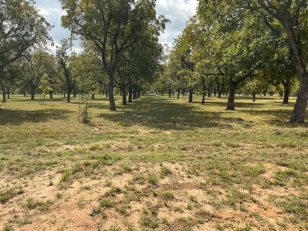 2449 Marvin Drive Granbury TX 76049