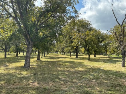 2449 Marvin Drive Granbury TX 76049
