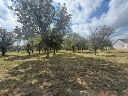 2449 Marvin Drive Granbury TX 76049