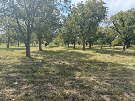 2449 Marvin Drive Granbury TX 76049