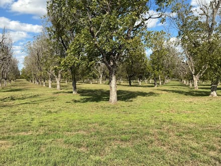 3140 E. Landings S, Granbury, TX - 3AC