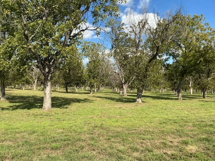 3140 E. Landings S, Granbury, TX - 3AC