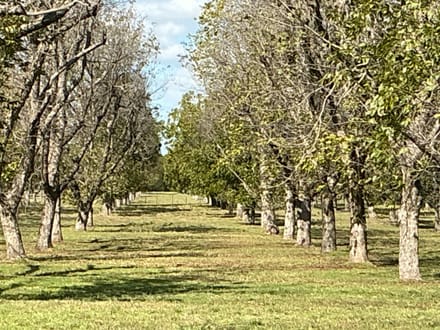 3140 E. Landings S, Granbury, TX - 3AC