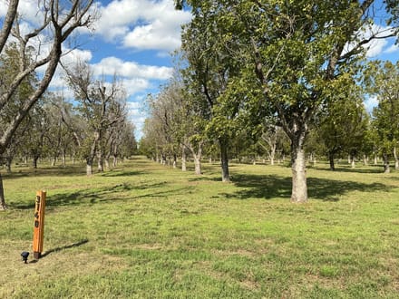 3140 E. Landings S, Granbury, TX - 3AC