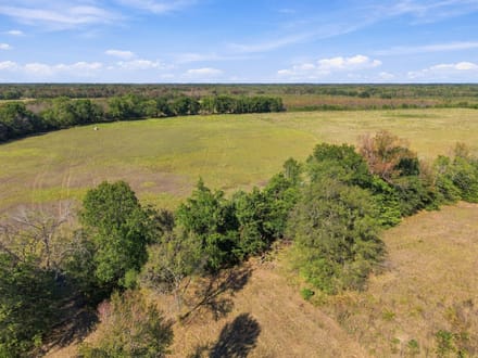 000 County Road 4612 Sulphur Springs, Tx 75482