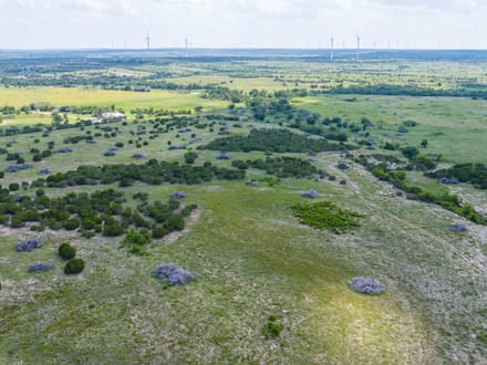 320 Acres Nolan County