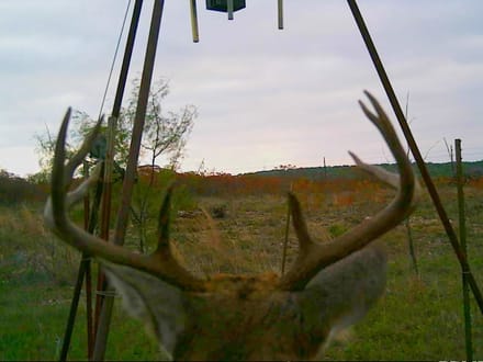 320 Acres Nolan County