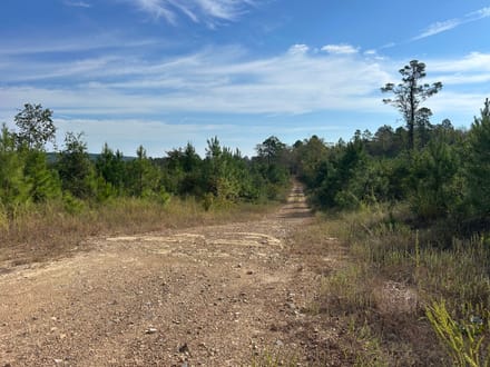 Lee Cemetery Road