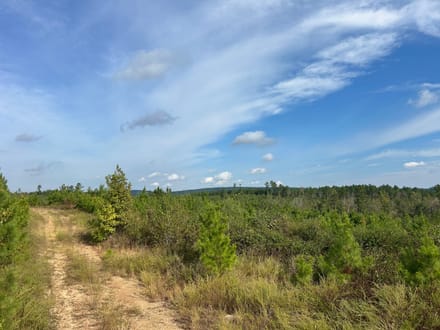 Lee Cemetery Road