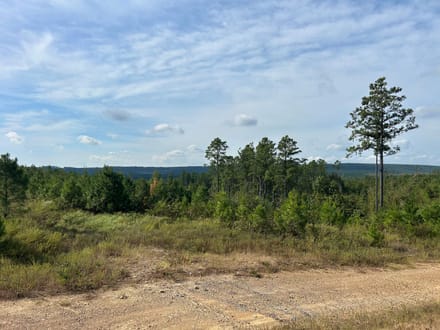 Lee Cemetery Road