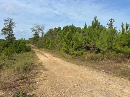 Lee Cemetery Road