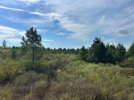 Lee Cemetery Road