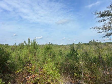 Lee Cemetery Road