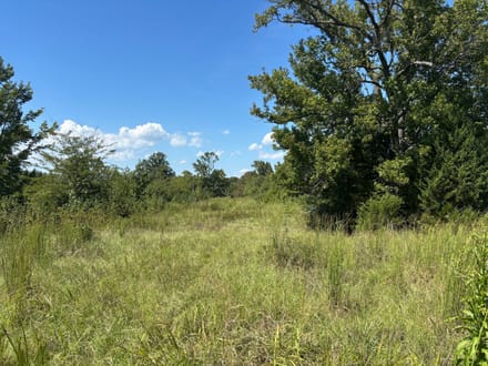Pine Hill North 
