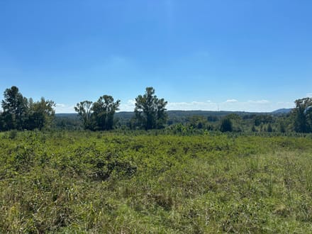 Pine Hill North 
