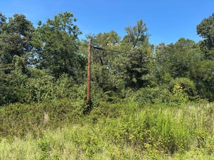 Pine Hill North 